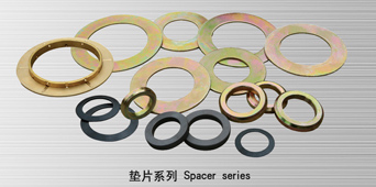 Gasket series